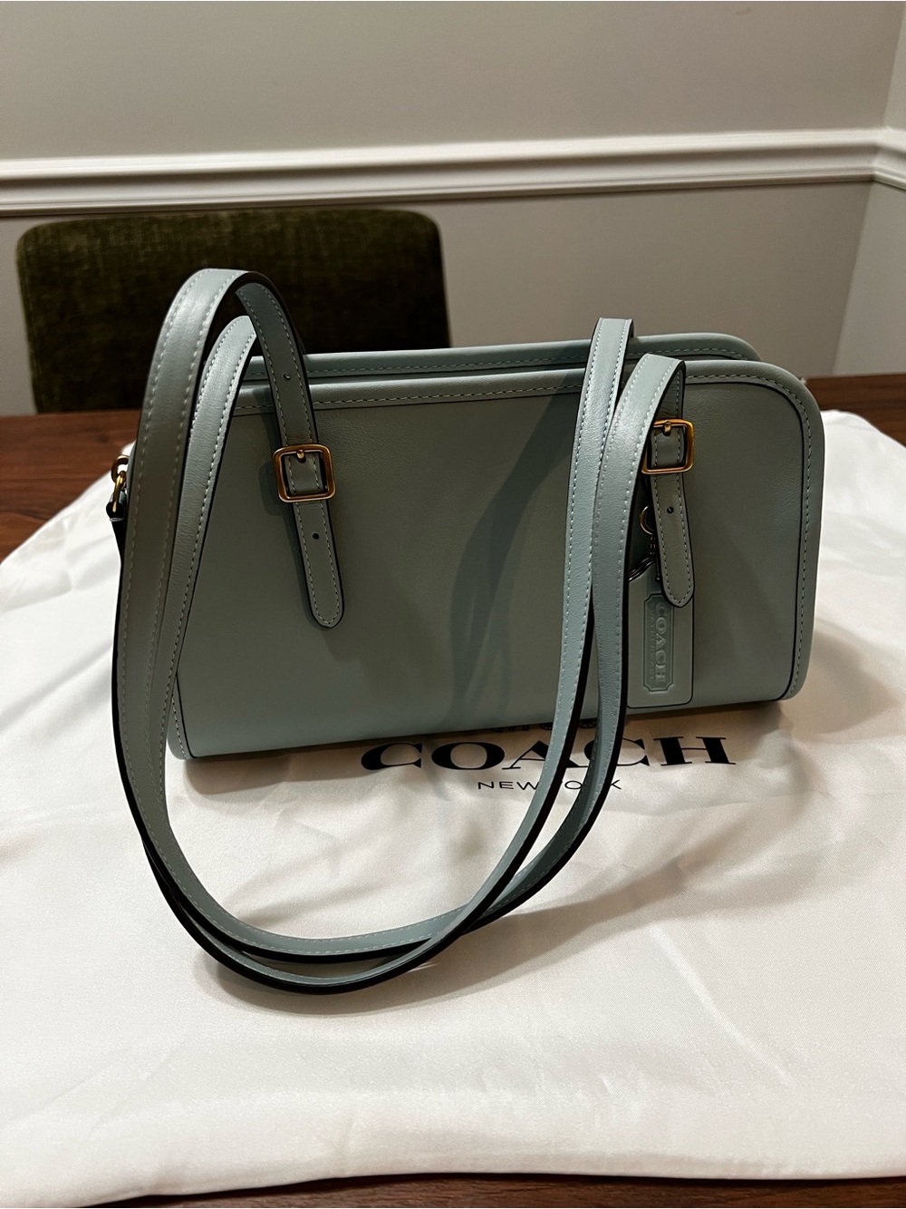 Coach Swing Zip